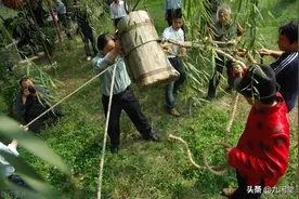 跟我读易经：九策（上）图片