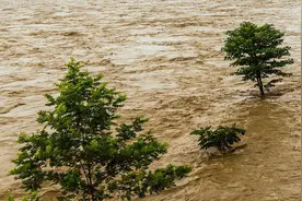河北老农洪流中拼命抓回一袋子，45年后打开，里面的物品让人泪目图片