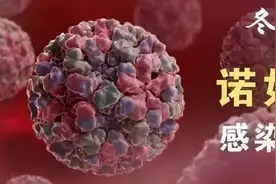 哈尔滨100名小学生感染诺如病毒！停课！沈阳疾控紧急提醒图片