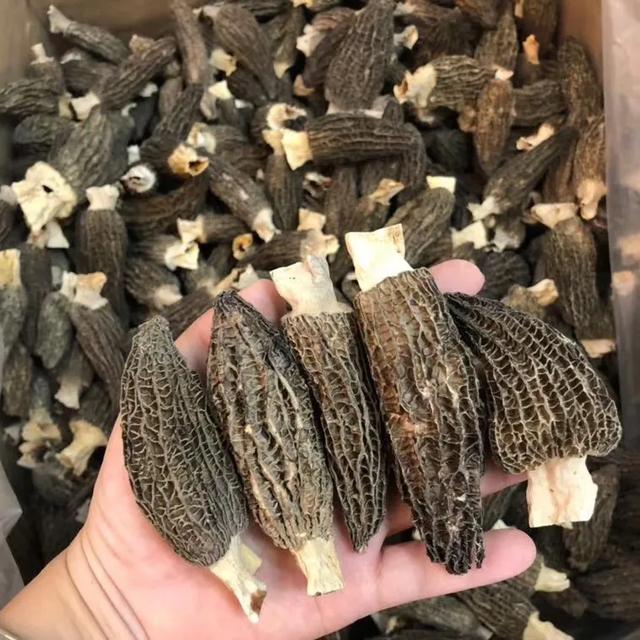 花胶响螺片煲鸡汤的功效 花胶响螺片煲鸡汤的功效与禁忌