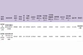 绿城拿下青山湖轻轨站旁宅地，限价29500元/㎡图片