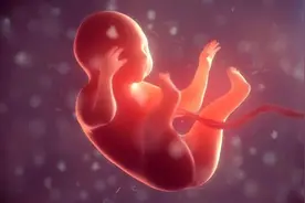 宝宝在羊水里泡10个月为啥没事？图片