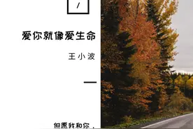 《爱你就像爱生命》十句经典句子图片