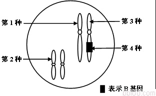高中生物学习经验分享