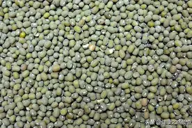 夏天吃绿豆，消暑开胃又降压，推荐5道绿豆养生食谱图片