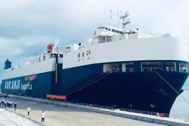 仓容25.2万吨！广州南沙国际物流中心北区仓库开仓试投产图片