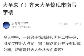 “齐天大圣”空降写字楼 官方：抓捕工作仍在进行图片