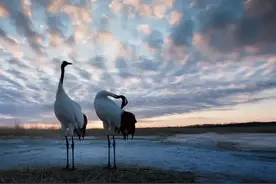 向着吉林的“海”出发！图片