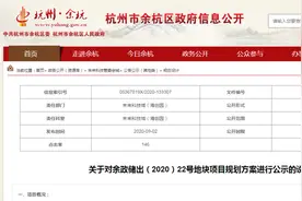 未来科技城52150元/㎡的绿城低密产品什么样｜新盘规划速递图片