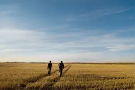 中年人的朋友观：远近随意，聚散随缘图片