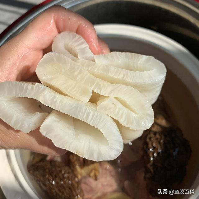 月子餐可以吃花胶 2026年月子能吃花胶