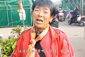 农村70岁老夫妻，大集上卖花草，月入过万，超城市白领视频封面