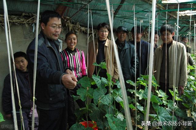 鑵愭閰搞€佹皑鍩洪吀銆佹捣钘婚吀銆侀奔铔嬬櫧锛岄兘鏄暐鑲ユ枡锛熼兘鏈夊暐浣滅敤锛? onerror=