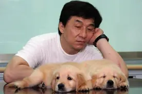 比起郑爽，偷狗的袁立、被咬毁容的萧亚轩、一亿不卖的成龙都很好图片