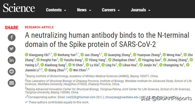 不结合RBD的抗体也能中和SARS-CoV-2