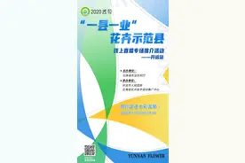 直播预告丨没有大动作，哪敢惊动您～本月24日，聚焦开远！图片