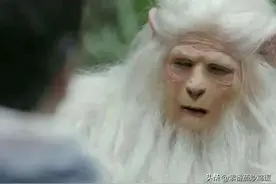 盘点金庸笔下能提高功力的奇珍异兽。图片