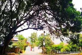 南昆山下的避世净土，山清水秀、无需购买门票，却鲜有游客踪迹图片