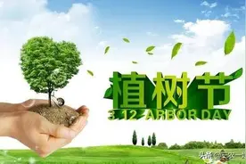 俗话“东不栽榆，西不栽桃”啥意思？春天来了，院子里栽啥树最好图片