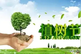 俗话“东不栽榆，西不栽桃”啥意思？春天来了，院子里栽啥树最好图片