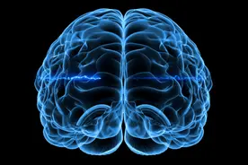 看电视能引发癫痫?针对脑电波的科学研究给你答案图片
