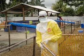 非洲疑出现未知致命病毒？！专家发出警告：比新冠更恐怖图片