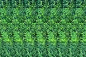 8090后的回忆之裸眼3D，你能看出来吗？图片