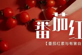 番茄红素丨清除人体有害自由基图片
