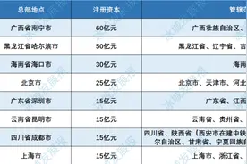 松北区新增一央企区域总部！注册资本居全国八大区域总部第二图片