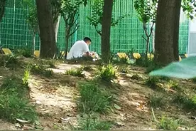 暗访丨面包车变“流动加油站”藏身西三环小树林图片