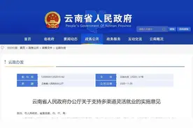 云南出台14条政策支持多渠道灵活就业图片