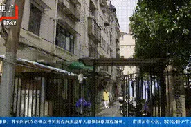 愤怒！沪一男子夜潜小区飞镖射猫致数猫重伤，虐杀动物行为如何惩治？图片