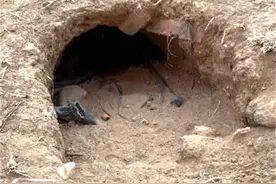 洞里发现流浪小奶狗，男子拿火腿肠诱骗它们，反被它们萌翻了图片