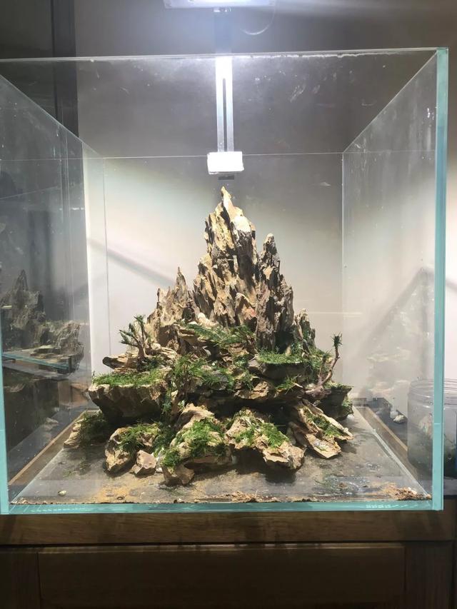 草缸造景教程:两个松皮石造景骨架给你新的灵感