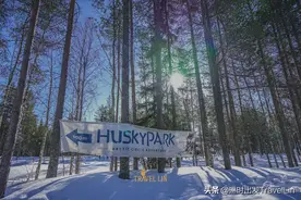 像圣诞老人一样坐着驯鹿车在罗瓦涅米飞驰吧图片