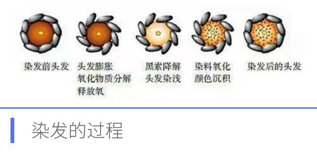 染发时漂发和不漂发有什么不同？四个细节要清楚，免得染完后悔
