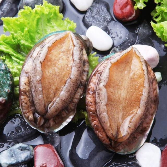 去海鲜店吃鲍鱼时有讲究,头数越小个头越大,长知识了