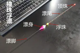 浅析撞珠浮漂、点波浮漂、自立浮漂在垂钓中的优势及应用图片