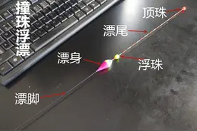 浅析撞珠浮漂、点波浮漂、自立浮漂在垂钓中的优势及应用图片