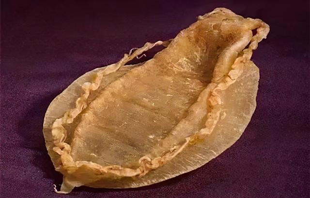 花胶多少钱一斤是好的 花胶多少钱一斤是好的品种