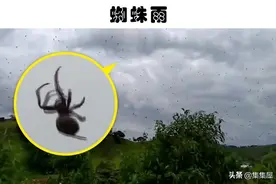 天空中下起“蜘蛛雨”是什么体验？世界上存在的6个神秘的事情图片
