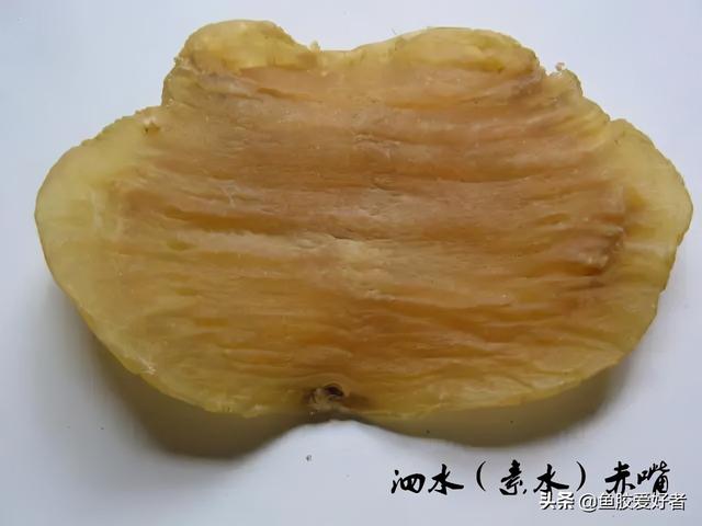 赤鱼胶是什么鱼的胶 2026年赤鱼胶的营养价值及功效