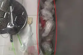 发现一户人家的冰箱，从不乱塞塑料袋，干净整洁不凌乱图片