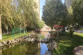 乌鲁木齐绿化最好小区之一在这里，可以进入首府绿化小区十强图片