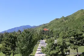 公墓20年到期如何续费？到期不续费如何处理？图片