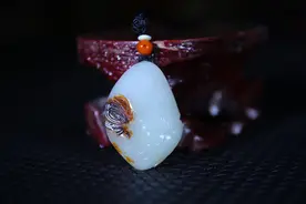 花开自引蝶舞来图片