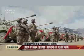 装上轮子的解放军，多型轮式战车装备部队，火力堪比坦克图片