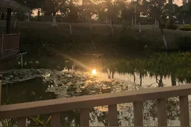 梦境中也是另一种人生图片