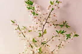 “尴尬”的年度考核图片