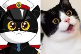 盘点那些经典动漫里的猫咪！它们的品种你都猜对了没？图片